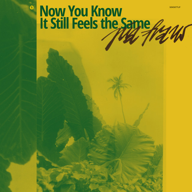 Now You Know It Still Feels the Same album cover