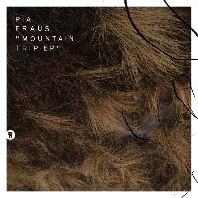 Mountain Trip album cover
