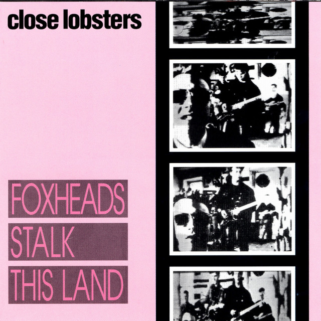 Foxheads Stalk This Land album cover