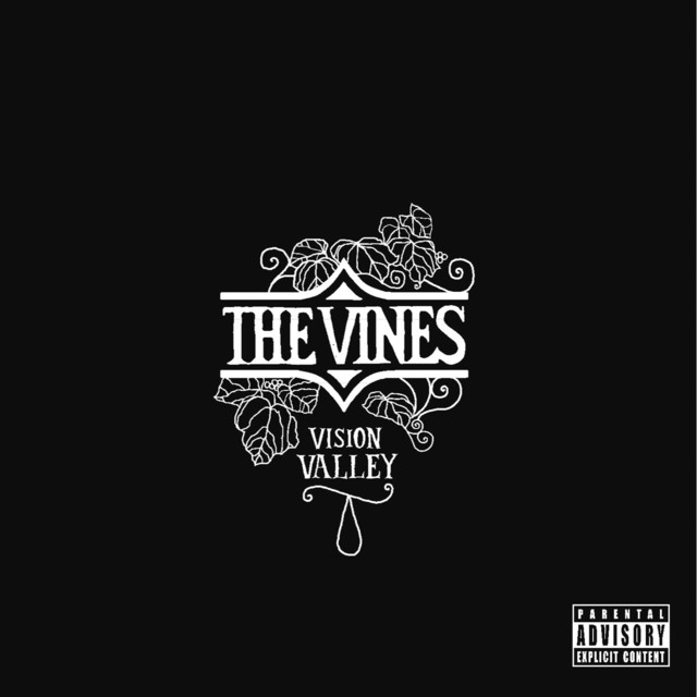 Vision Valley album cover