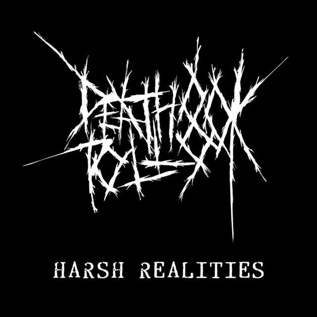 Harsh Realities album cover