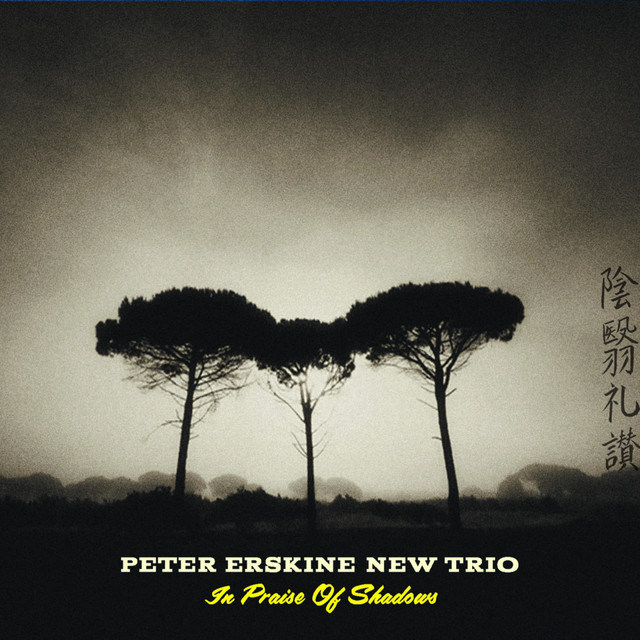 In Praise of Shadows album cover