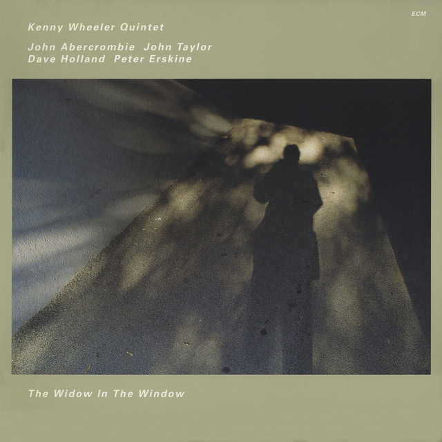 The Widow In The Window album cover