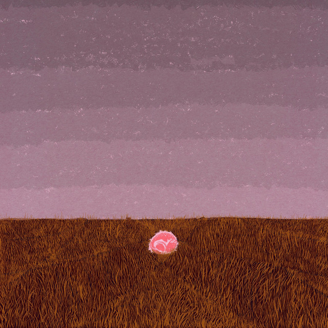 fawn album cover