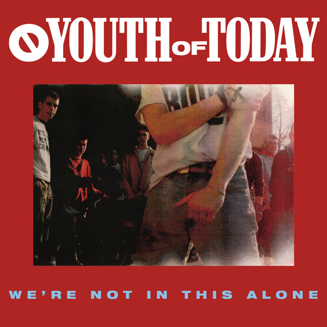 We're Not In This Alone album cover
