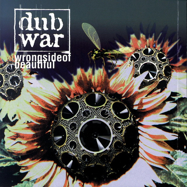 Wrong Side Of Beautiful album cover