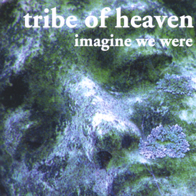 Imagine We Were album cover