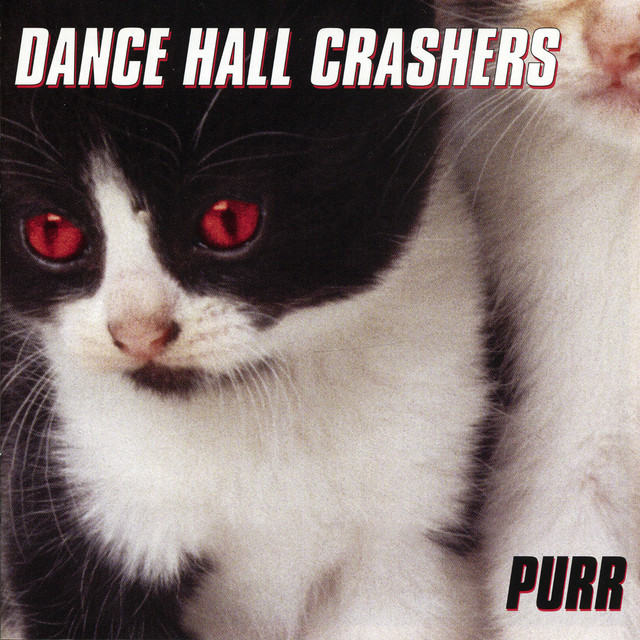 Purr album cover