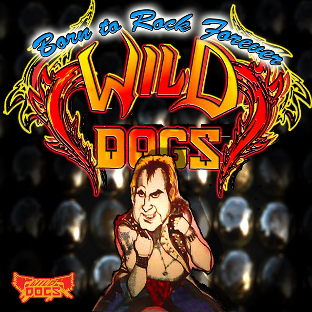 Born to Rock Forever album cover