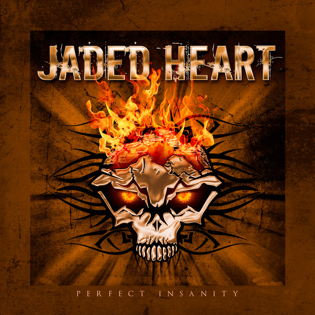 Perfect Insanity album cover