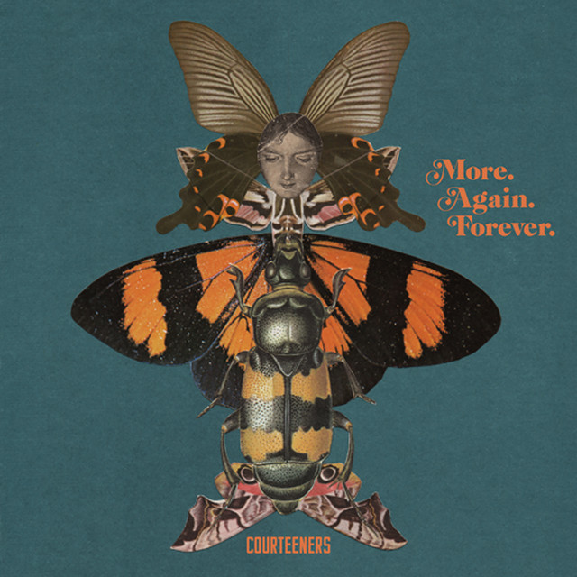 More. Again. Forever. album cover