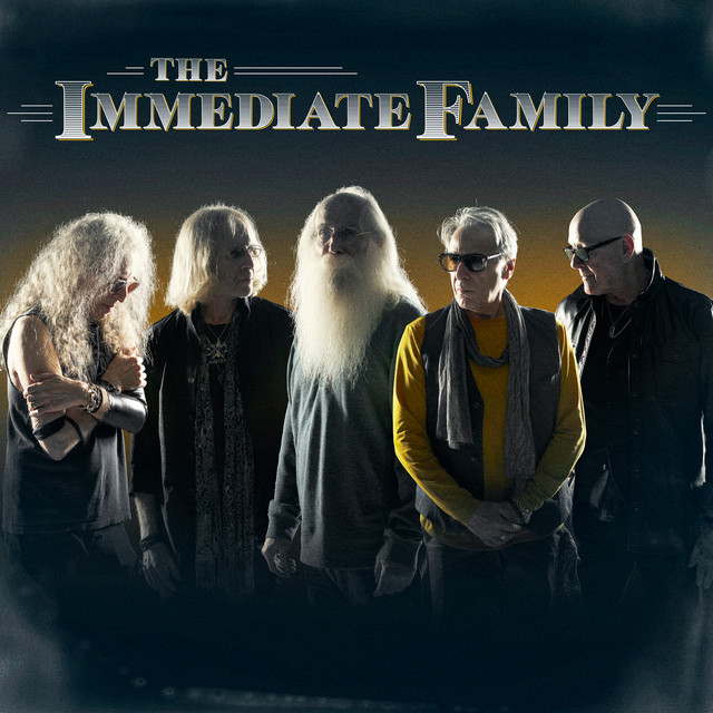 Fender Telecaster Thinline Electric Guitar as heard on The Immediate Family by The Immediate Family (2021)