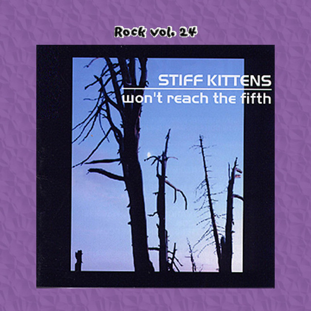 Rock Vol. 24: Stiff Kittens-Won't Reach The Fifth album cover