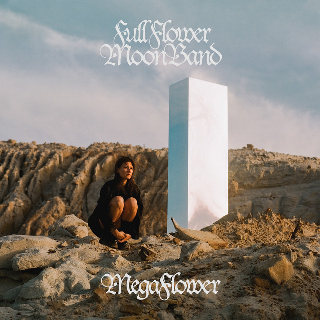 Megaflower album cover
