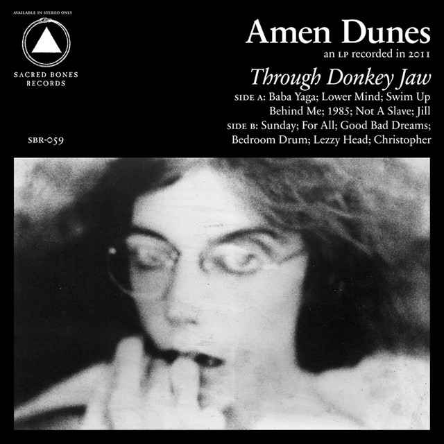 Through Donkey Jaw album cover