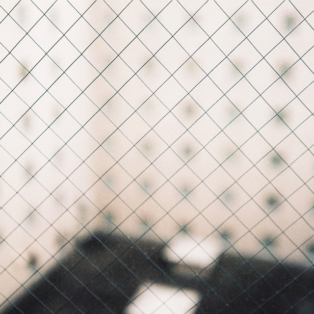 In Your Languages album cover