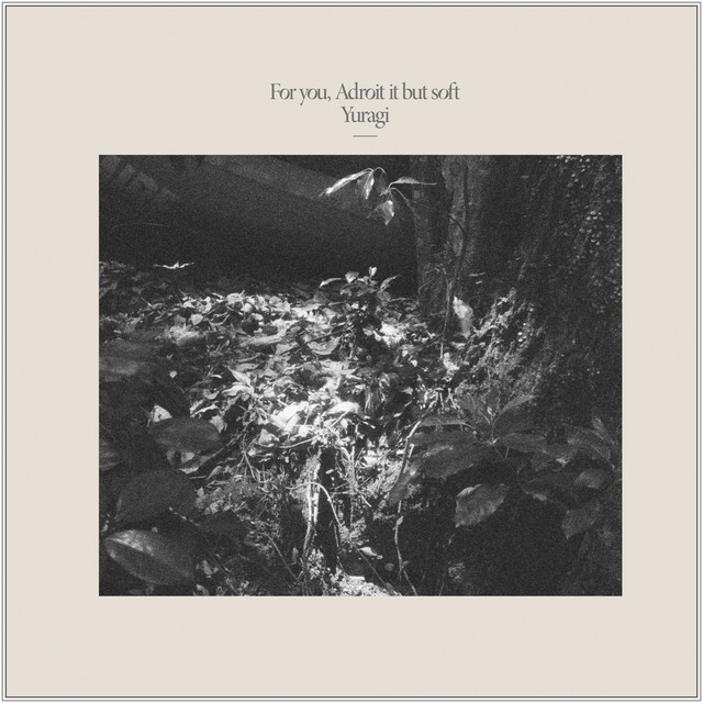 For you, Adroit it but soft album cover