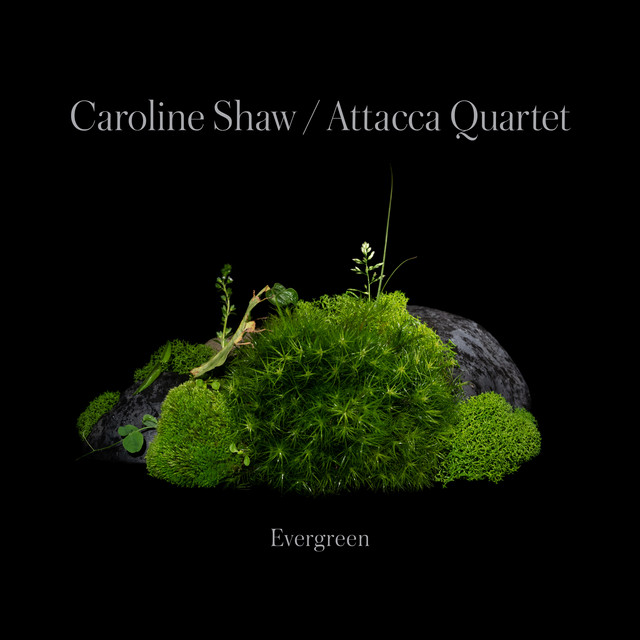 Caroline Shaw: Evergreen album cover