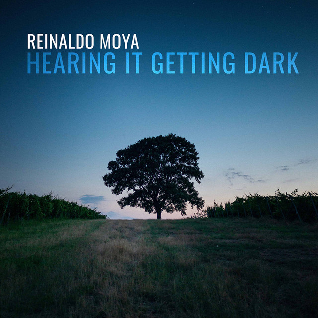 Reinaldo Moya: Hearing It Getting Dark album cover