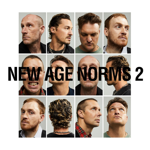 New Age Norms 2 album cover