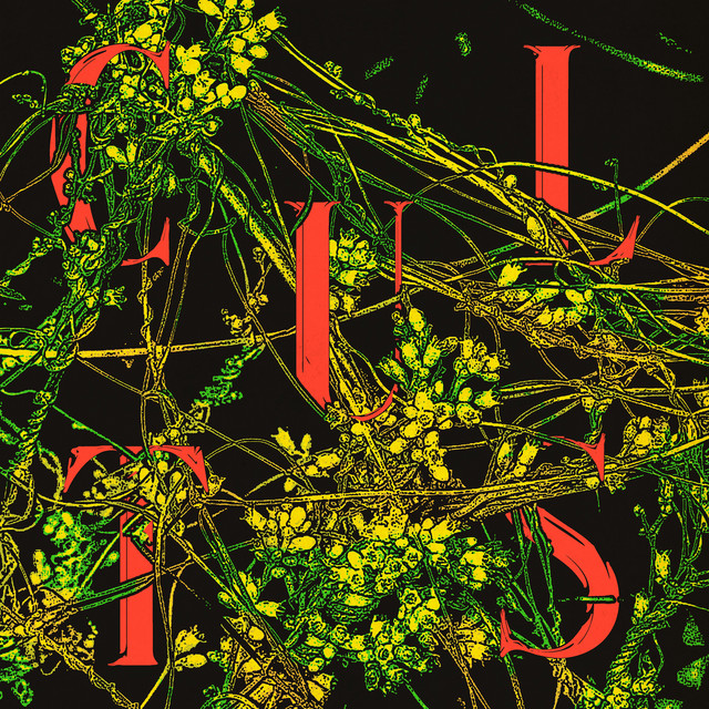 Host album cover
