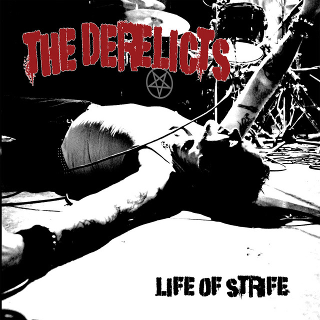 Life of Strife album cover