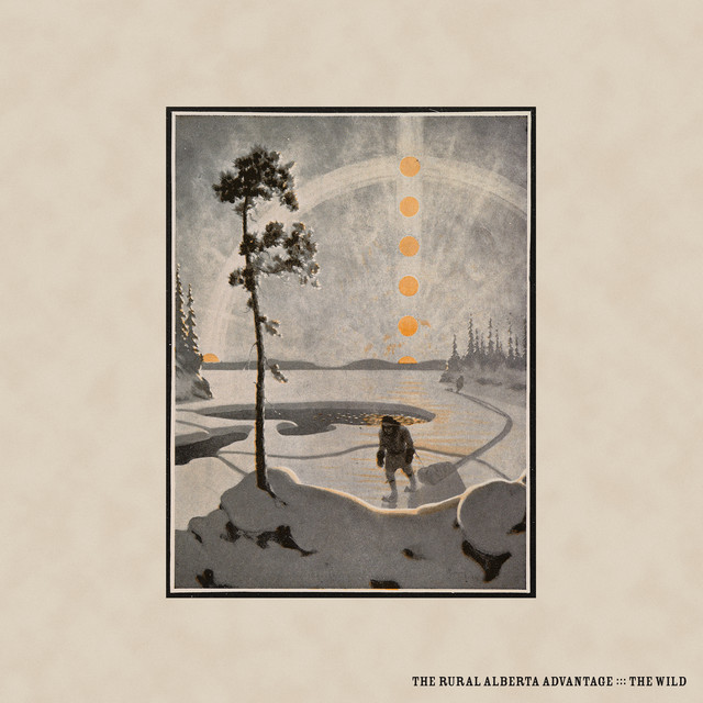 The Wild album cover