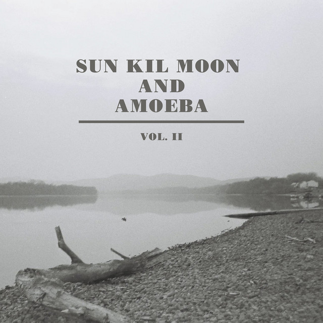 Sun Kil Moon and Amoeba, Vol. II album cover