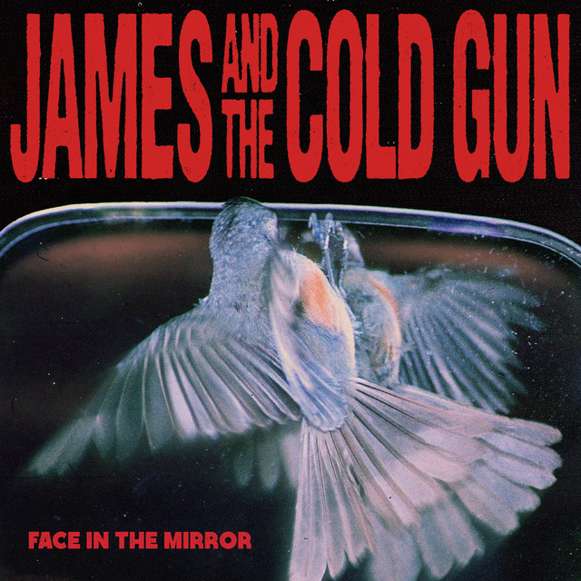 Face In The Mirror album cover