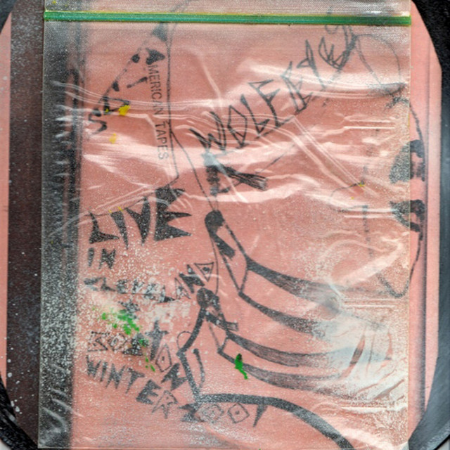 Fuck Cleveland album cover