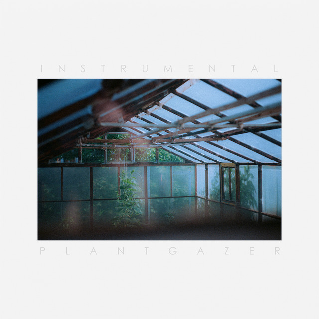 Plantgazer (Instrumental) album cover
