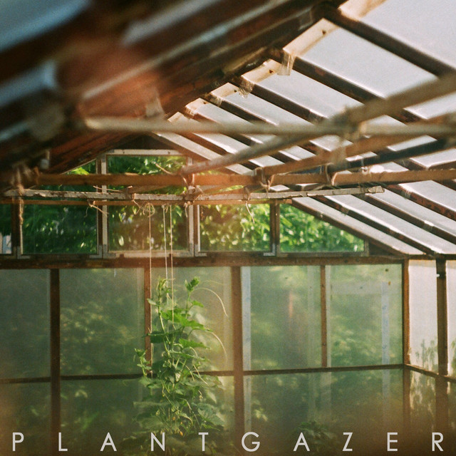 Plantgazer album cover