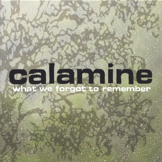 What We Forgot To Remember album cover