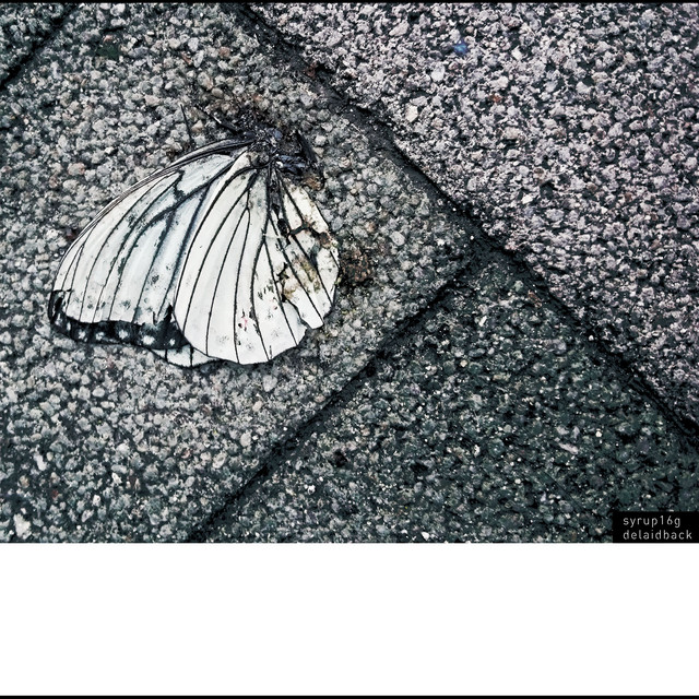 delaidback album cover
