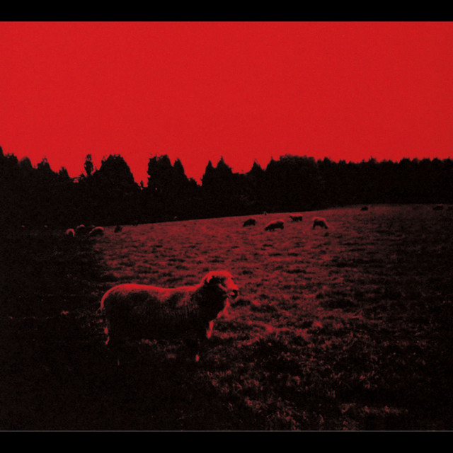 HELL-SEE album cover
