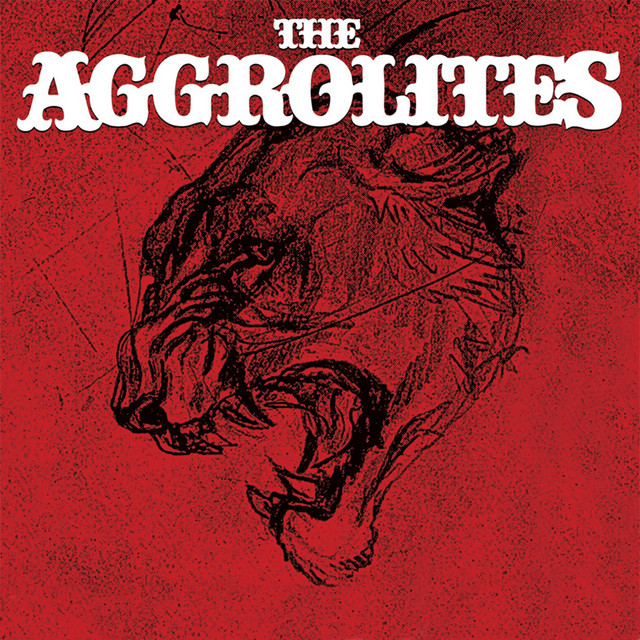The Aggrolites album cover