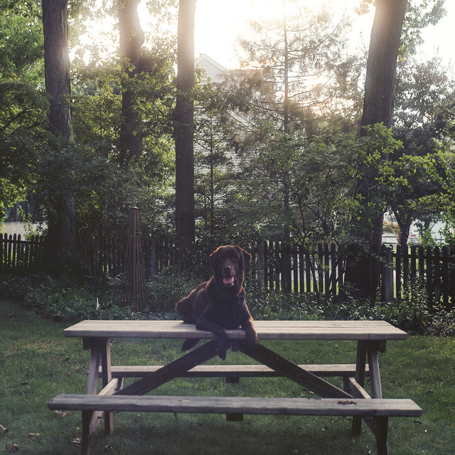 Splenderson album cover