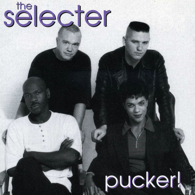 Pucker album cover