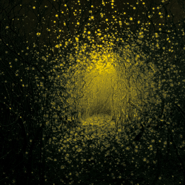 Burst Apart album cover