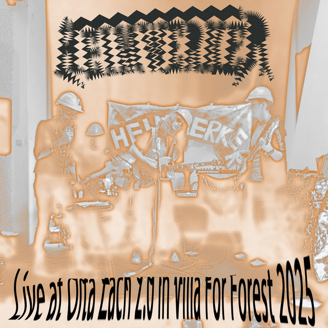 Olta Zach 2.0 in Villa For Forest 2025 (Live) album cover