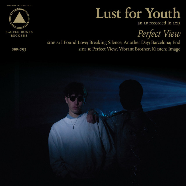 Perfect View album cover