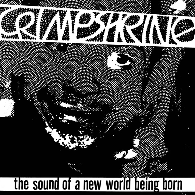 The Sound of a New World Being Born album cover