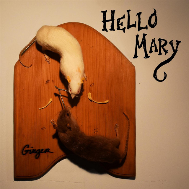 Ginger album cover