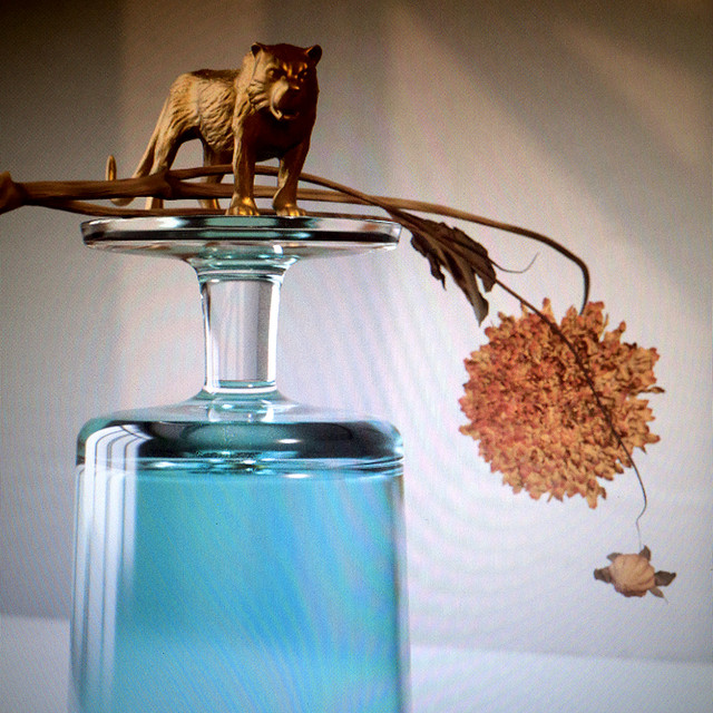 Gallipoli album cover