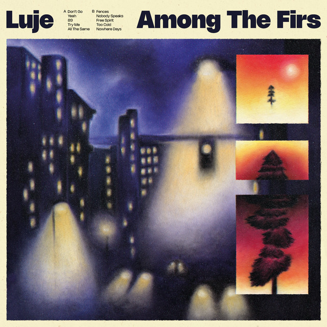 Among the Firs album cover