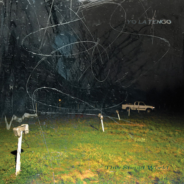 This Stupid World album cover
