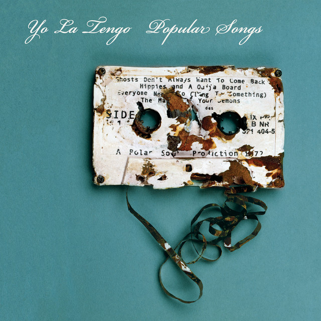 Fender Bass VI as heard on Popular Songs by Yo La Tengo (2009)