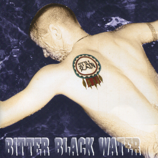 Bitter Black Water album cover