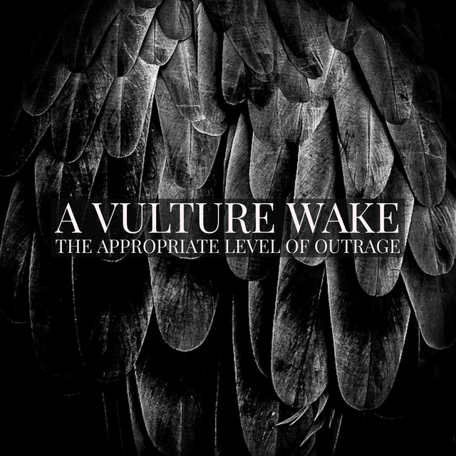 The Appropriate Level Of Outrage album cover