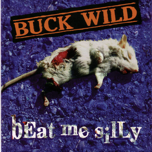 Beat Me Silly album cover